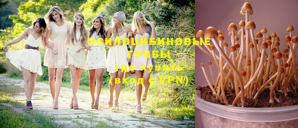 каннабис Баксан
