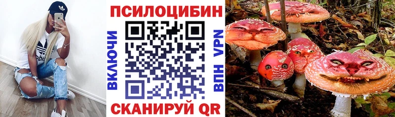 цены наркотик  Кувандык  Галлюциногенные грибы Magic Shrooms 